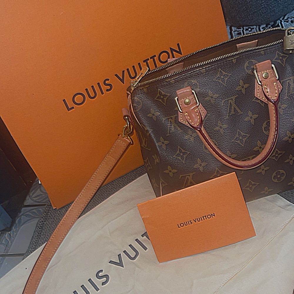 Louis Vuitton Purse